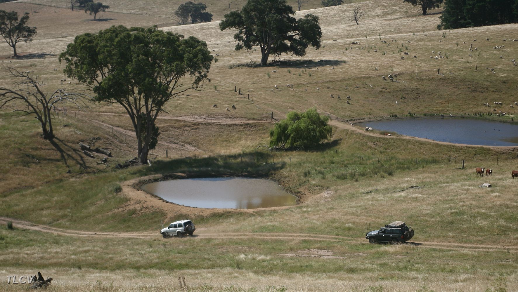 21-Zebra leads the convoy through private property on the Negoura Road.JPG